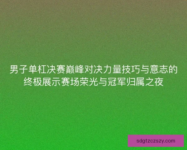 男子单杠决赛巅峰对决力量技巧与意志的终极展示赛场荣光与冠军归属之夜
